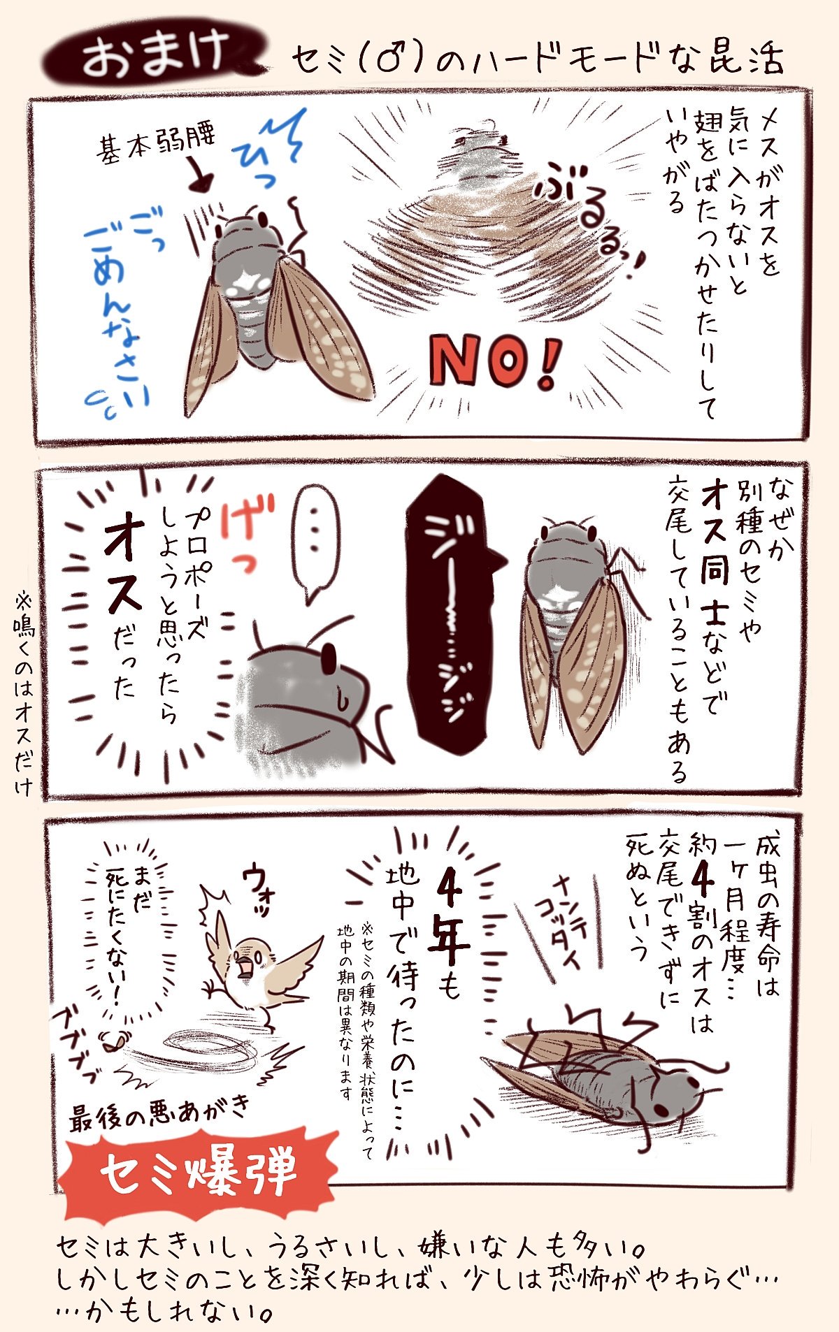 一日一種 わいるどらいふっ 第143種 アブラゼミ ふだんは強気で鳴きまくる しかしいざとなると