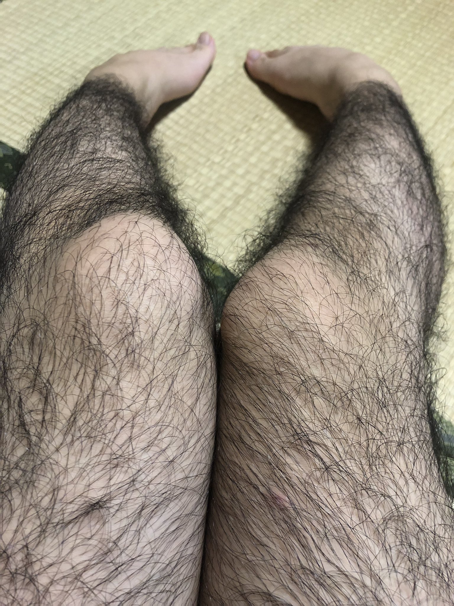 みぃそん すね毛が濃い 誰も羨ましがってくれない自慢 T Co Fs8mb3a0s2 Twitter