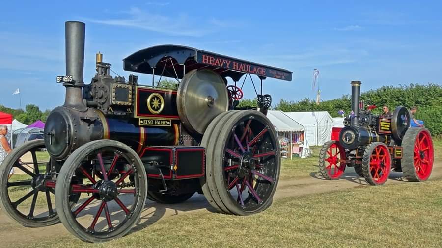 Torbay Steam Fair tweet media