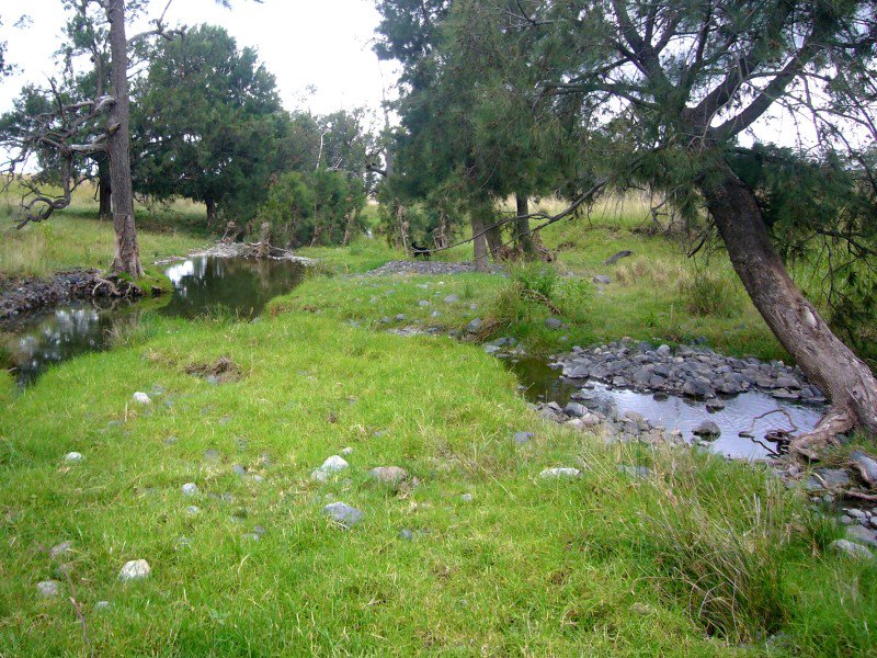 SoilsforLife's tweet photo. #RegenerativeAgriculture case study: #RotationalGrazing + #NaturalSequenceFarming = 250% carrying capacity increase https://t.co/p7MsYwXuvq https://t.co/yTVEJbToat