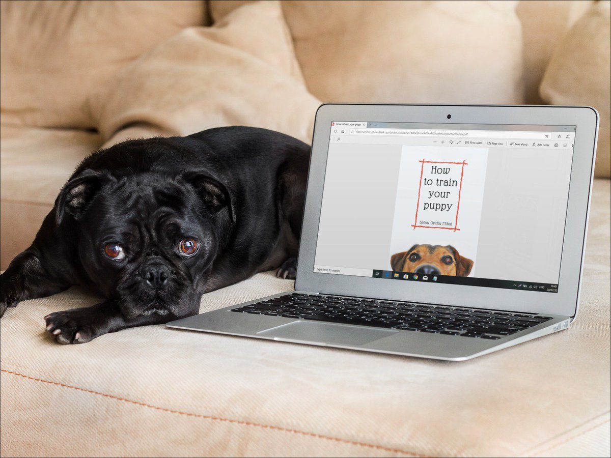 GuidesQuick's tweet photo. #book #Reading #BookClub #BookWorm #dog #Puppies .@_BookClub Everybody  loves puppies, and if you want to train your puppy check out our web site https://t.co/2eAFEwYIsC https://t.co/ryhfWUWDoS