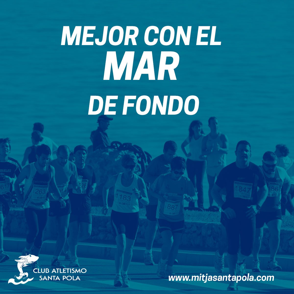 Una de las cosas que nos diferencian es nuestro recorrido. Llano y el 90% junto al mar. Esto es Santa Pola.
bit.ly/2SQQ3WE/
@santapolaturismo <a href="/visitelche/">visitelche</a> <a href="/costablancaorg/">Turismo Costa Blanca</a> 
#mitjasantapola #mmsp2020 #mediamaraton #running #maraton #marathon #santapola