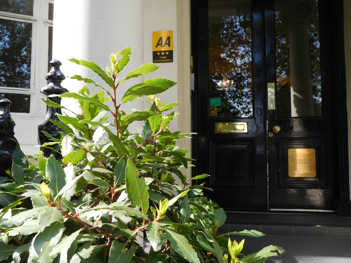 number63hotel's tweet photo. Anticipating some good exam news this month? Treat the star student in your life to a Trip Treat weekend at Number 63 to congratulate them or to wish them well at Uni!  https://t.co/qc1SXxzGTw https://t.co/Ezr0p36dBd