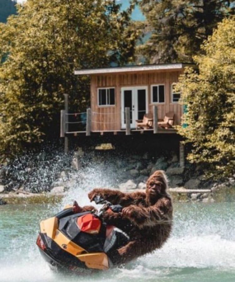 Shauna Dixon Esq. tweet media