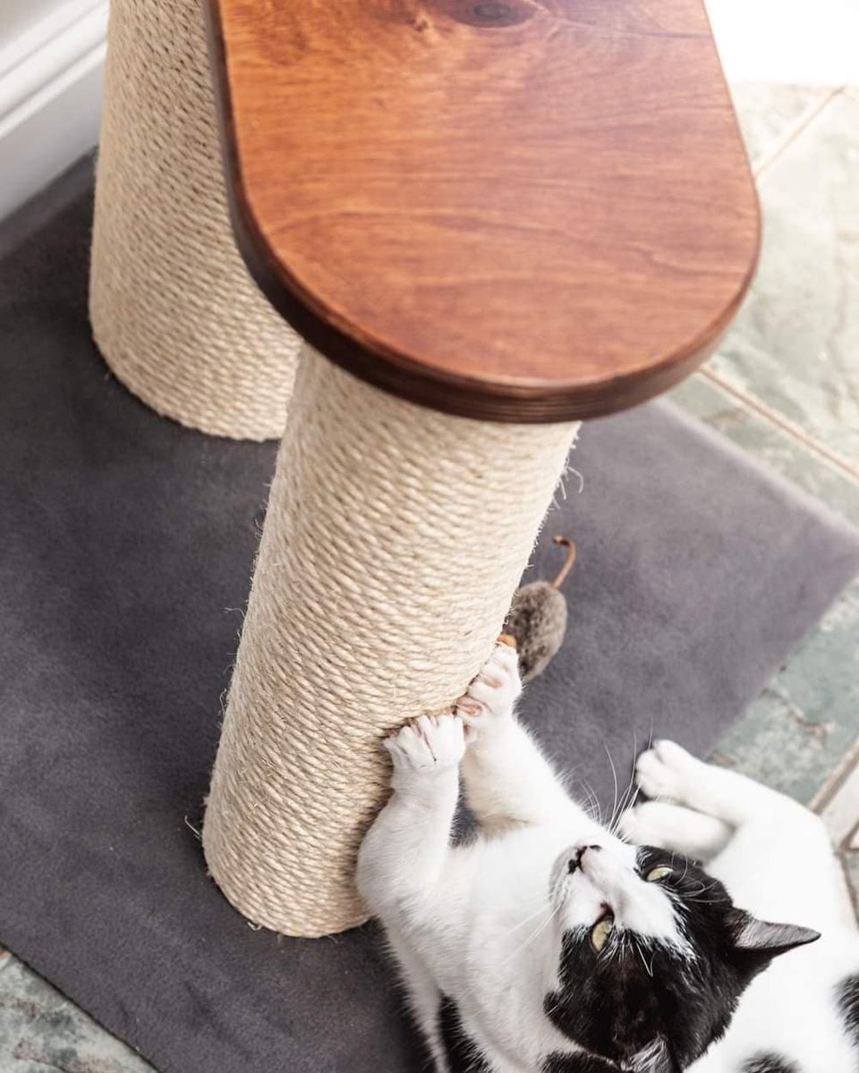 CosyPosts's tweet photo. Beautiful Saturday to all our Cosy Followers!

We've got something wonderful coming up for you guys! ❤❤❤

We're designing a unique product with  platforms hand-crafted with high quality birch wood and impregnated with oil wax... 🐱🐱🐱

This is going to be super special! 🤗🤗 https://t.co/vWXO6EkxSV