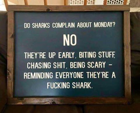 Let’s do this in a day