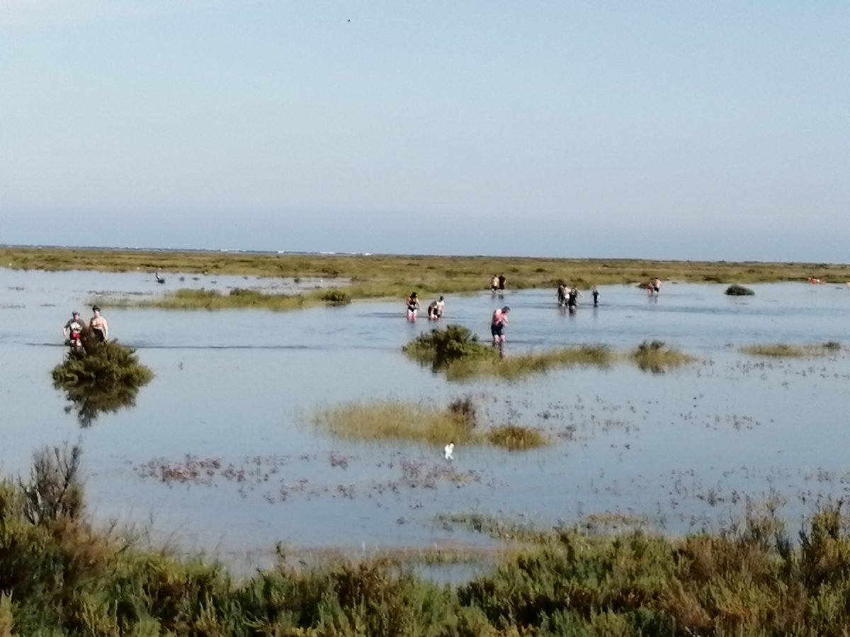 SGundogs's tweet photo. High tide on the North Norfolk coastal path #Stffkey https://t.co/HHO14qjGJ1