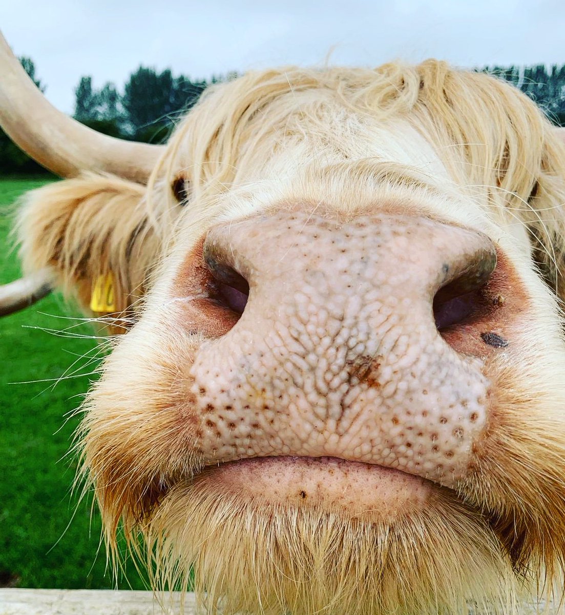 Alice in Hattonland (@alicehattonland) on Twitter photo Smile! It's the weekend and we have one plenty to keep you entertained <a href="/HattonWorld/">Hatton Country World</a> #warwickshire Smile! It's the weekend and we have one plenty to keep you entertained <a href="/HattonWorld/">Hatton Country World</a> #warwickshire