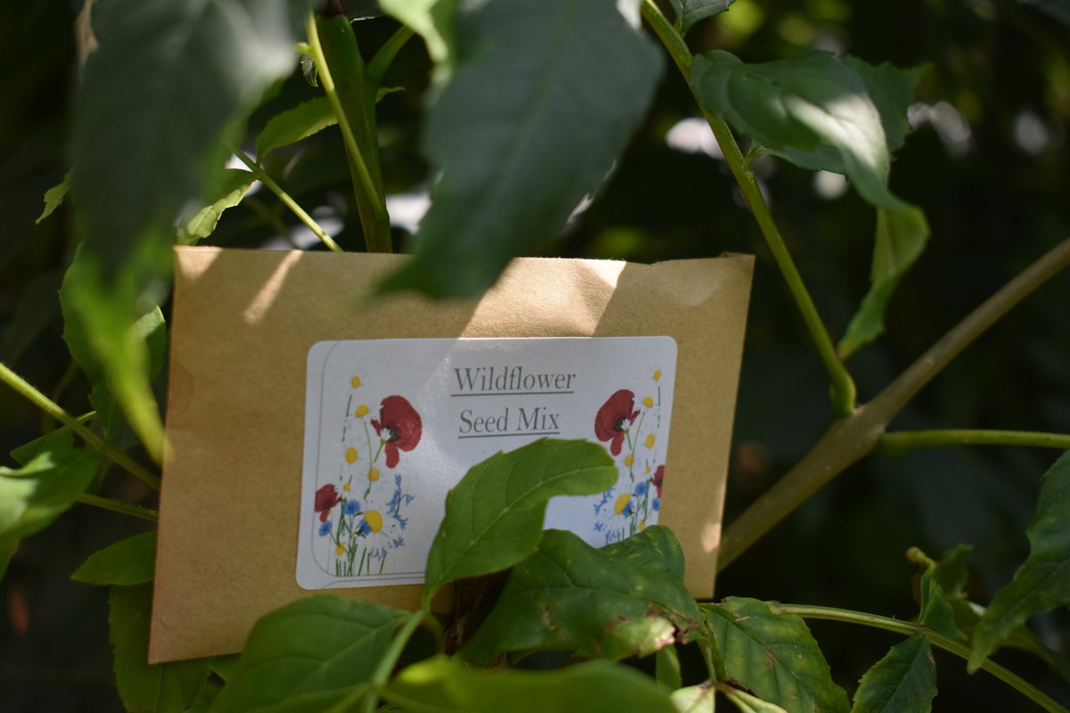 Seedspiration_'s tweet photo. 10% #DISCOUNT!

All first time customers will receive 10% off their first order!

Available until 31st Dec 2019
Offers are stackable https://t.co/K4CyAbeUGO