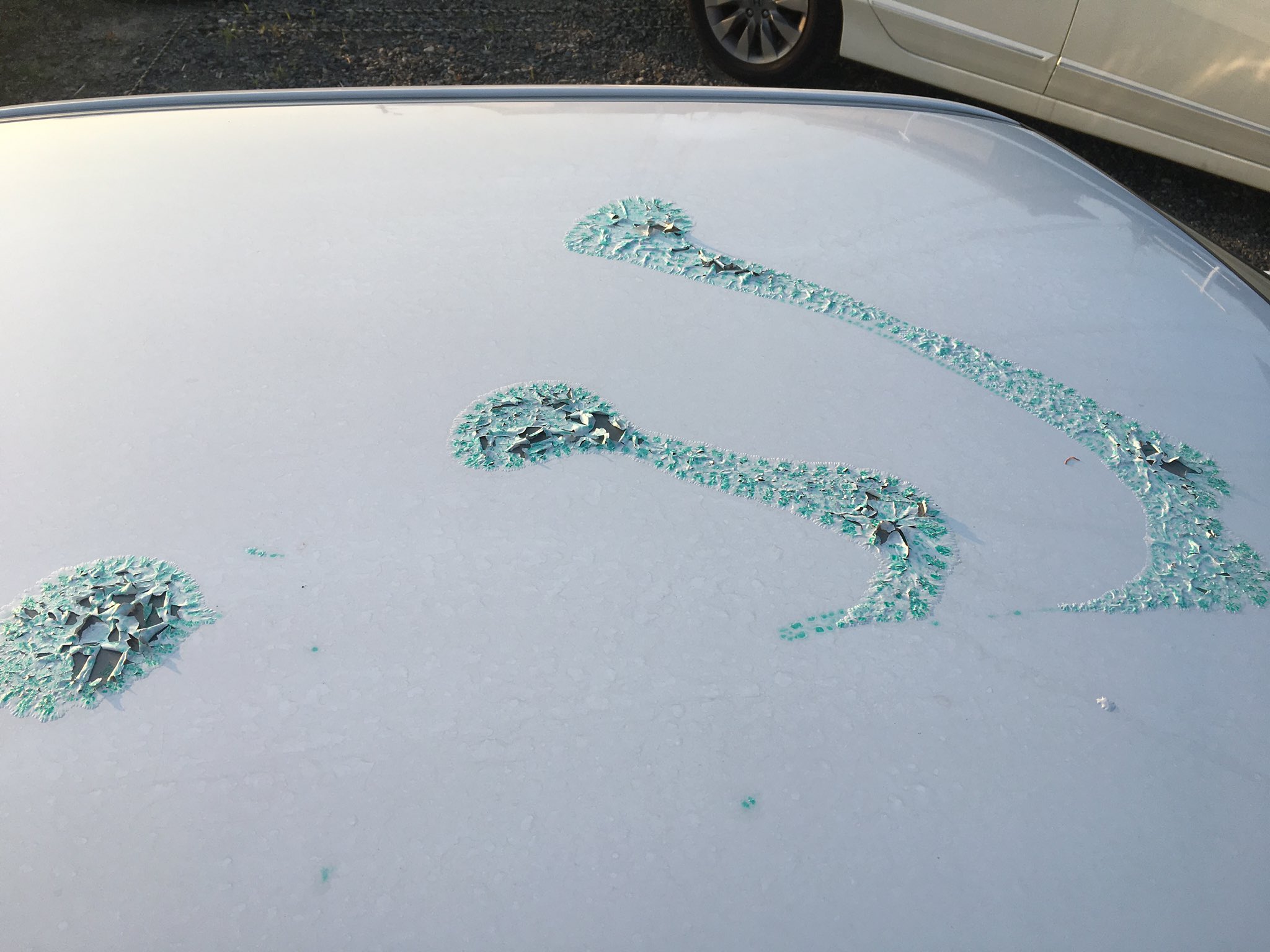 コウ 湾岸 車に剥離剤みたいなのまかれるイタズラされた やったやつぶっ殺したいわ T Co Kpfeifhcew Twitter