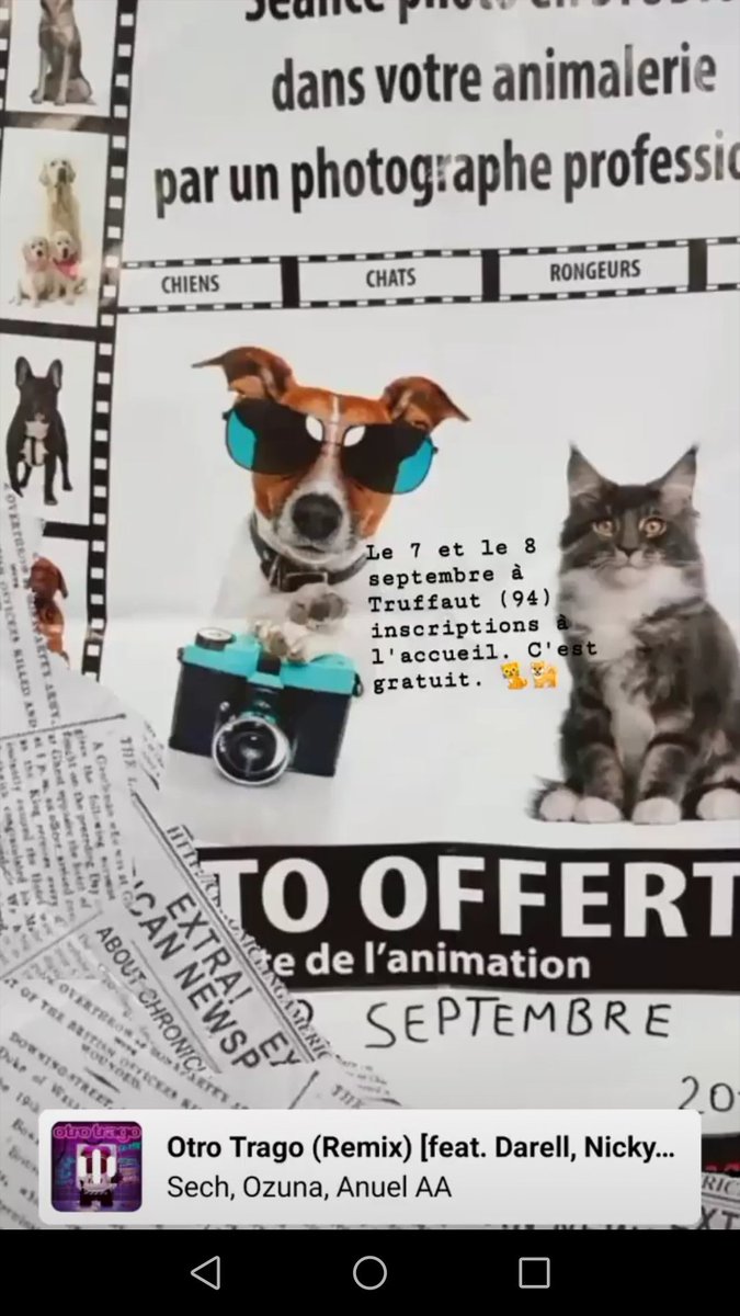GoodBons's tweet image. 🌹Pour toutes les personnes qui habite dans le 94 à @Truffaut propose une séance photo gratuite avec votre animal de compagnie.🐕🐈 Inscrivez vous à l'accueil du magasin ava't le 7 septembre. 🌹#amazing #photooftheday #fashion