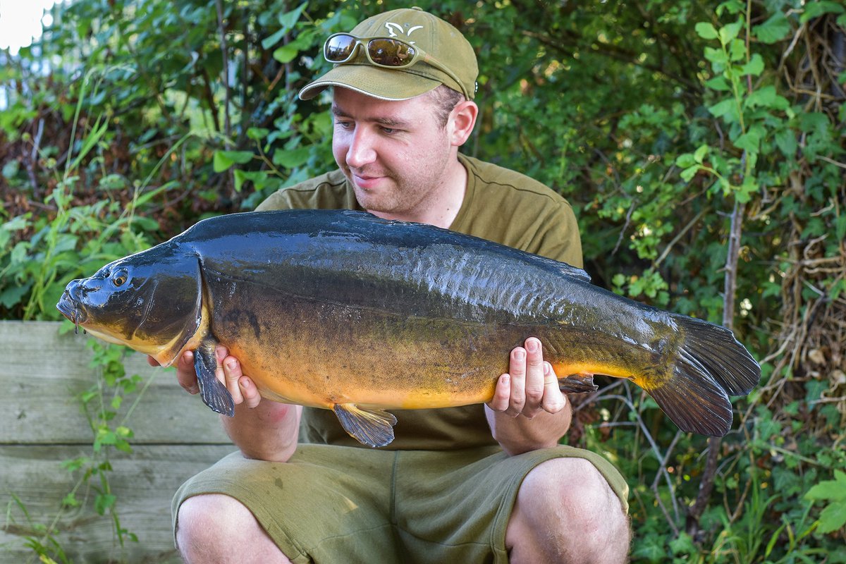 BristolAnglingCentre tweet media