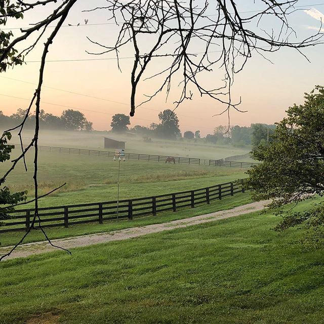 crazysheeplady's tweet photo. Good morning!  That’s two 😀. #augustfog https://t.co/b4EIayyJ5D https://t.co/i6LUfJ70eZ