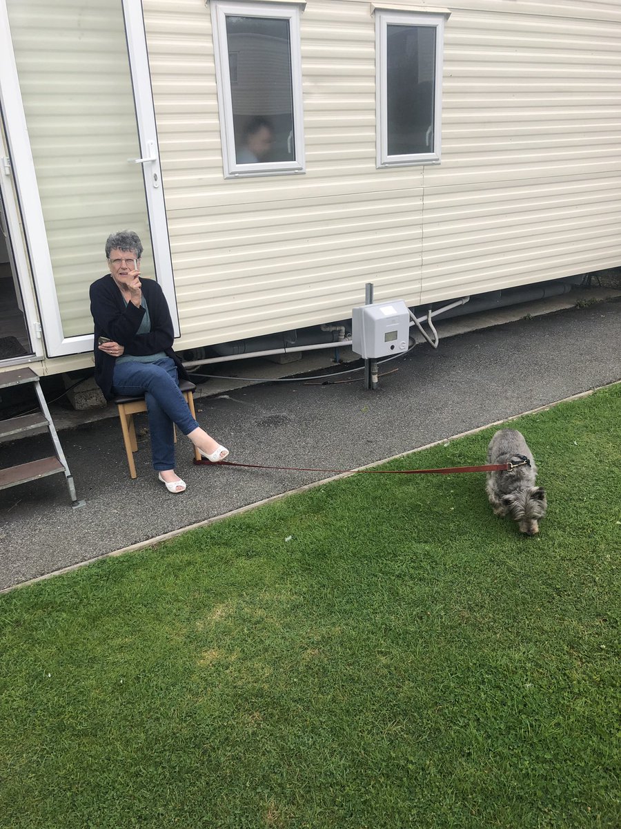 jerjay71's tweet photo. Old Lady arrives on holiday in Newquay...... and smuggled a dog along with her. https://t.co/6Ttziuakmd