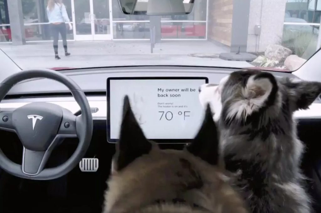 Tesla’nın ‘köpek modu’ arızası düzeltildi dunyahalleri.com/teslanin-kopek…