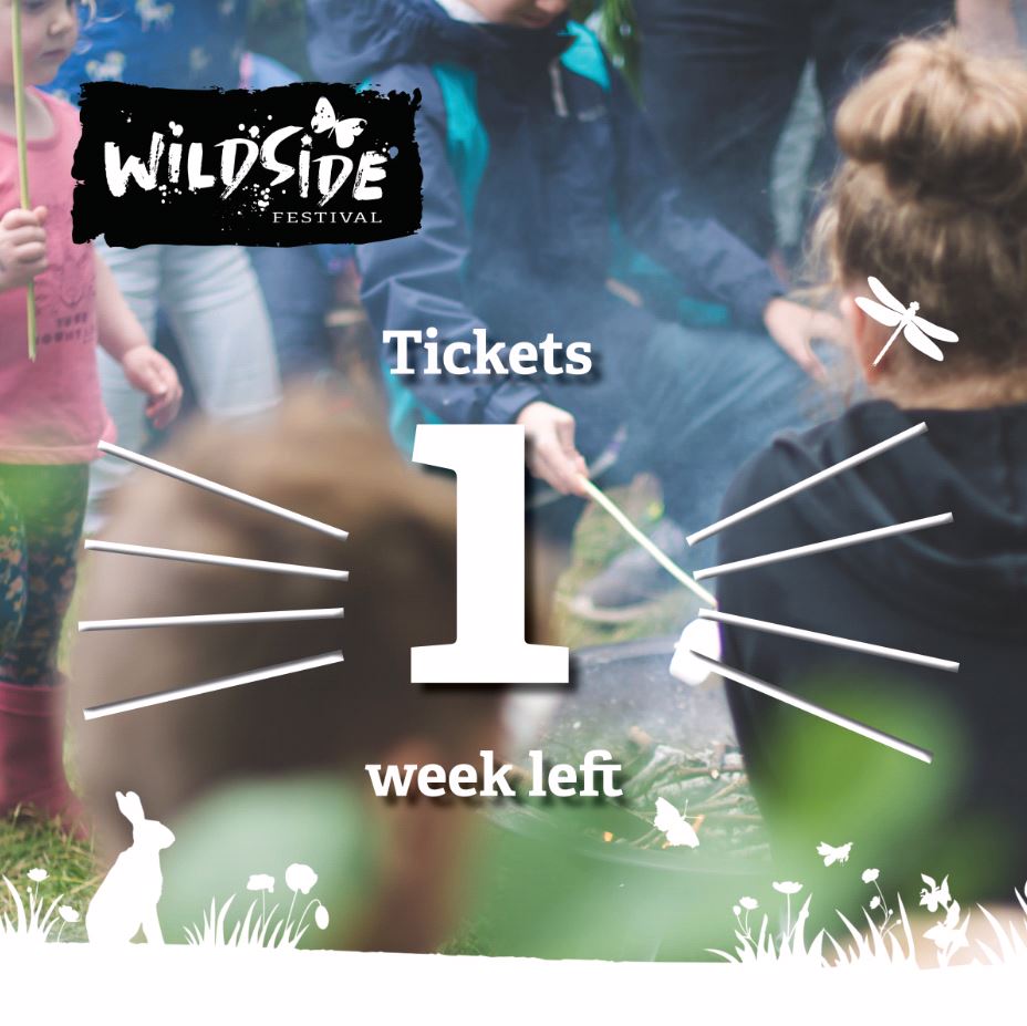 Wildsidefest1's tweet photo. Eeeeek - This time next week! 7 more sleeps to go! 

If you haven't got tickets yet you must be mad! https://t.co/ogRdtawbCM https://t.co/URBRrZn25b