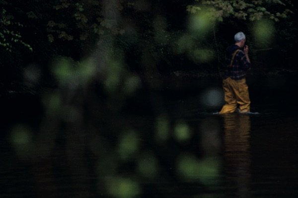 afon festival news - mailchi.mp/ed4ac3fd503d/p…