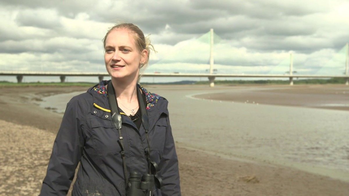 CRelocation's tweet image. Anyone seen this video? It's a wonderfully shot 10 minute documentary taking a closer look at how wildlife on the estuary has been affected by the construction of @merseygateway. A nice watch for the weekend! buff.ly/2yw8zKL