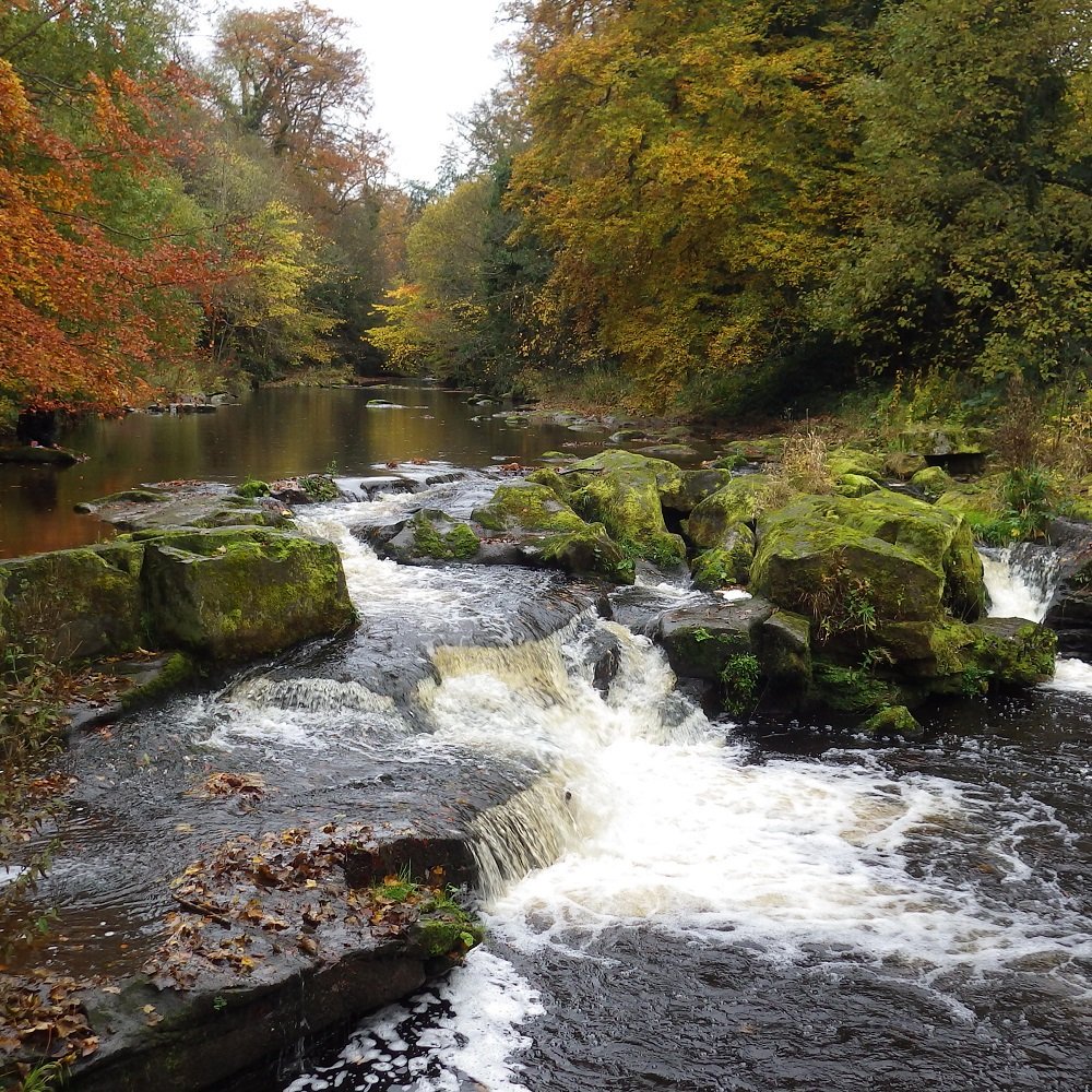EmmaHowardBoyd's tweet photo. I have written an open letter to @thetimes in response to their editorial, and coverage of the state of England’s rivers, which is wrong on most counts. Please read my letter here: https://t.co/oKjlCqgvsv https://t.co/VnlTFssh3j