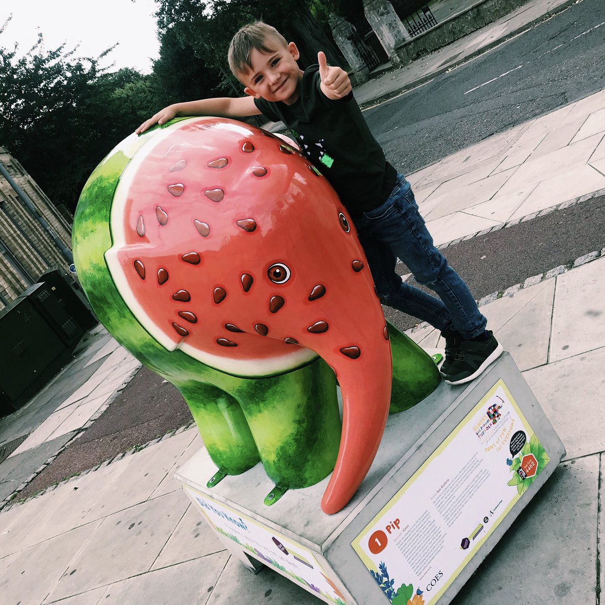 ElephantPip's tweet image. HAPPY NATIONAL WATERMELON DAY 🍉🎉🙌 why don’t you celebrate this fabulous day by buying some of this juicy fruit and popping by Norwich Road to see me! #nationalwatermelonday #watermelons #ilovewatermelon #watermelonlover #watermelonlolly #healthyeating #saturdayfeeling