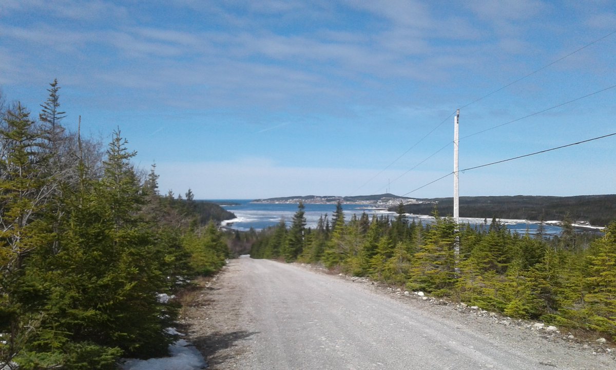 Exile1Self's tweet image. #WhatIPlanToDoToday
I&apos;ll be riding my atv here.