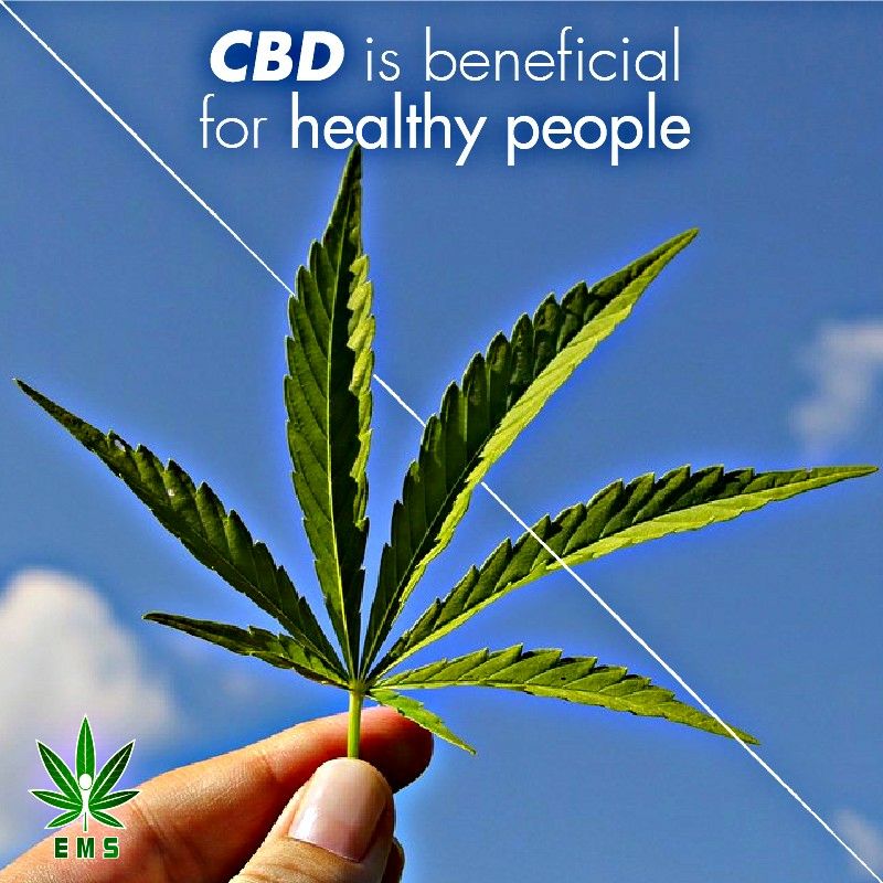 Primo_DAO's tweet photo. #EMStokenFact People incorporate CBD into their lives when facing health problems but CBD offers botanical properties that are beneficial for anyone interested in promoting wellness.
CBD’s stimulation + support of the endocannabinoid system may help it continue to run efficiently https://t.co/GtZMyhzIQs