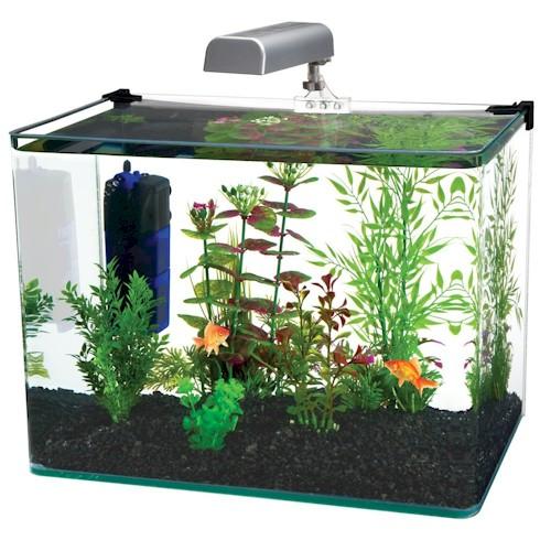 weofferpetsup's tweet photo. Are #Fish your kind of pets? We love them too! 
Here is a great collection of accessories and equipment to enjoy your hobby even more! 🐟🐠🐡
https://t.co/UnovBa8IsG 
#Pets https://t.co/79QSYV8w9S