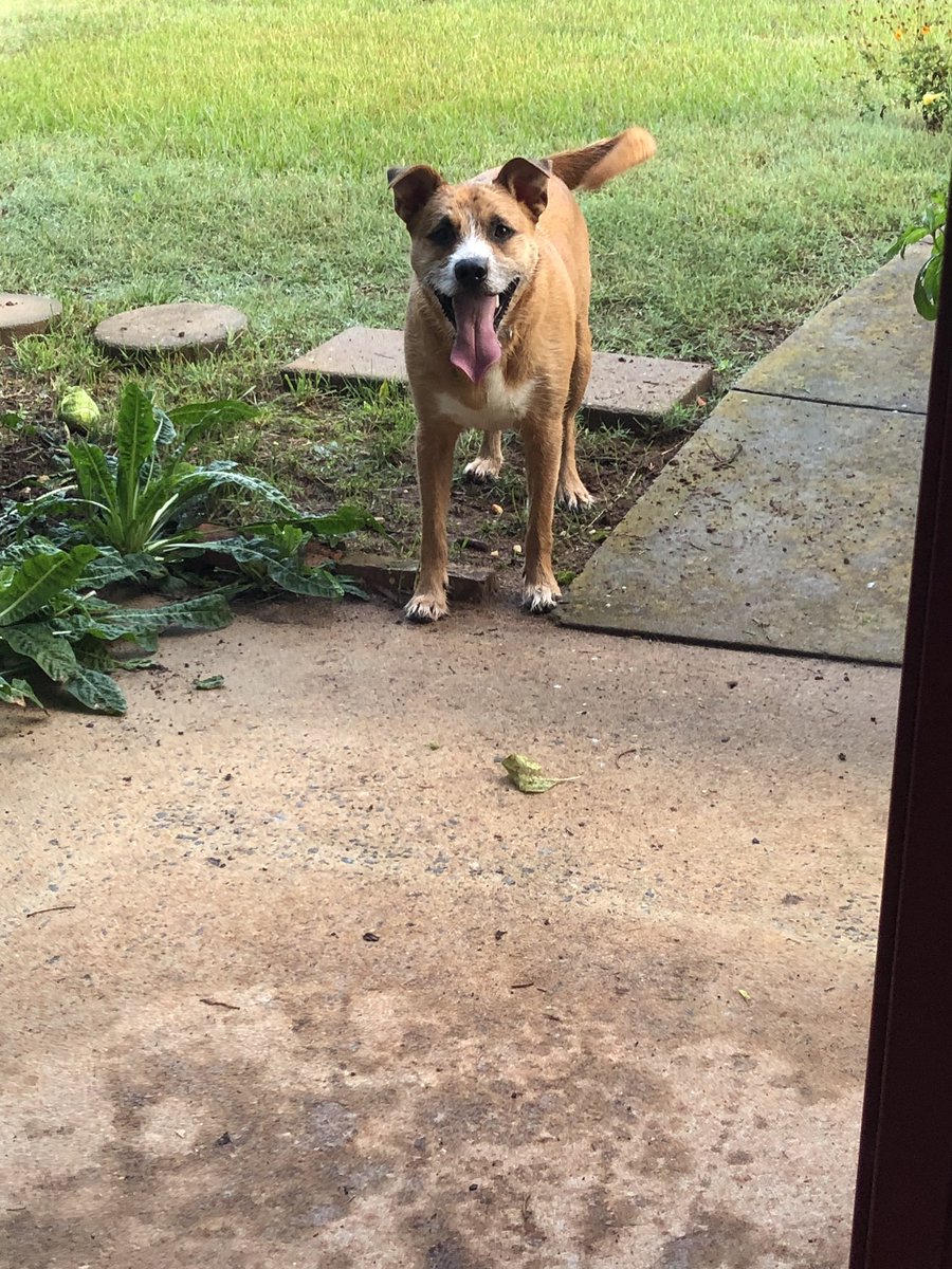 DanaLeaB1's tweet image. #WhatIPlanToDoToday