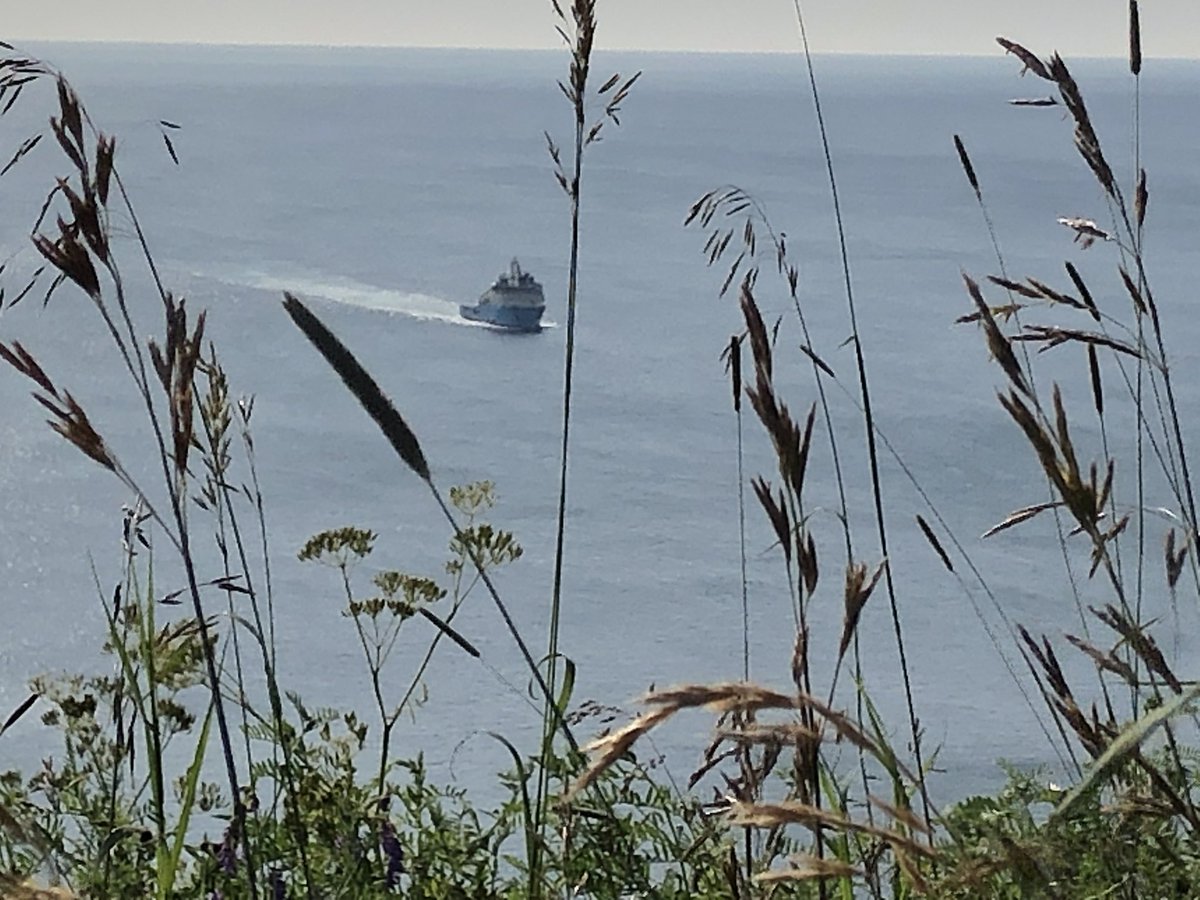 JodyJFoss's tweet photo. #Summer
#HotNL
Another scorcher here today! Our summer is so fleeting you have to get out and enjoy it while you can!
Some scenes from this morning’s hike plus obligatory selfie!😁
@NLtweets
@CityofStJohns https://t.co/cV11DrjaQ9