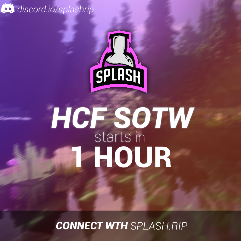 Splash Network tweet media