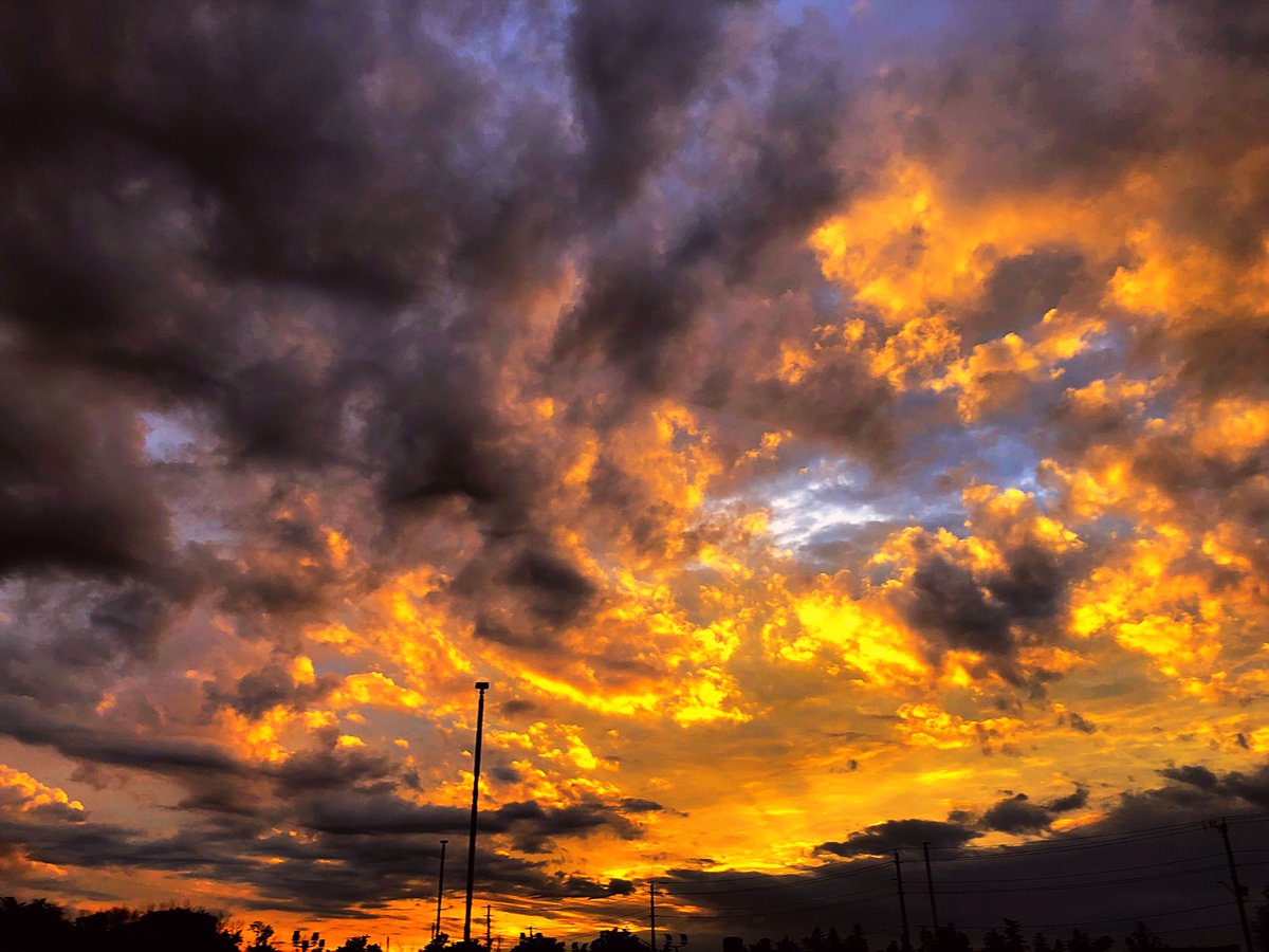 Don’t confuse your path with your destination. Just because it’s stormy now doesn’t mean that you aren’t headed for sunshine. -unknown
.
.
.
#sunset <a href="/StormHour/">#StormHour</a> <a href="/PicBallot/">GFE Escorts Kenya</a> <a href="/PixByBob/">Bob Hanshaw</a> <a href="/BestSunsetPhoto/">📷Вⷡeͤs͛ᴛⷮS͛uͧns͛eͤᴛⷮ Рⷬhͪoͦᴛⷮoͦ🌇</a> <a href="/sunset/">Sunset</a> <a href="/Laku_Lance/">Laku_Lance</a> <a href="/salovesunsets/">nature_beauty 💝</a> <a href="/LifesEarth/">Lush Earth</a> @Katvoluted <a href="/jayceb19/">Jane Brook</a> <a href="/danbutler_55/">Dan Butler</a>