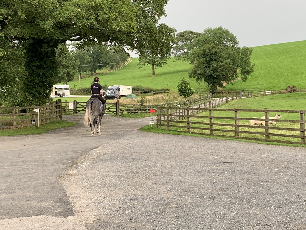 Jack Walker Eventing tweet media
