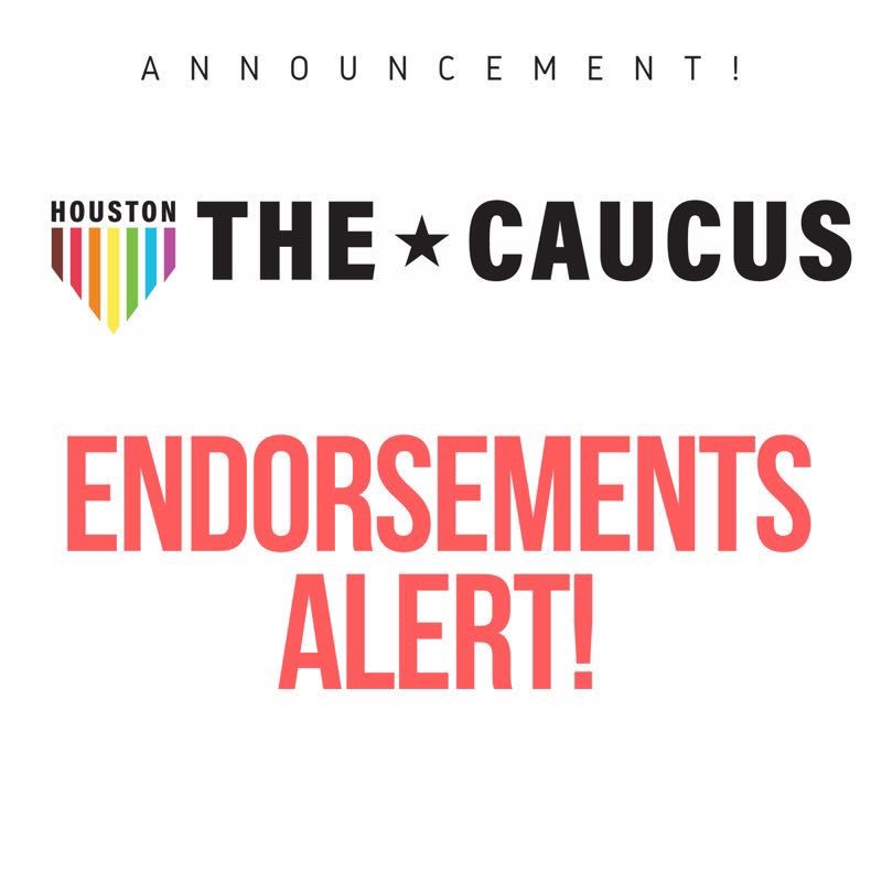 We are happy to announce our members just endorsed @MonicaRichart (HCC I) @tarshajackson (Dist B) @TiffanyForAlief (Dist F) @MarthacastexT (Dist K) @RajforHouston (At Large-1) @RobertGallegos_ (Dist I) @jcfor3htx (At Large 3) @ChrisB_Brown (Controller) congrats! #HOUVotes