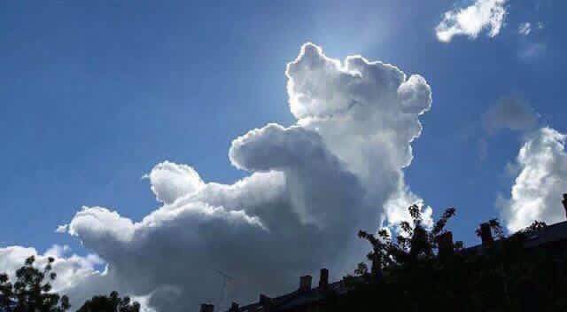 It's a cloud. In the shape of a bear. It's a bear cloud!