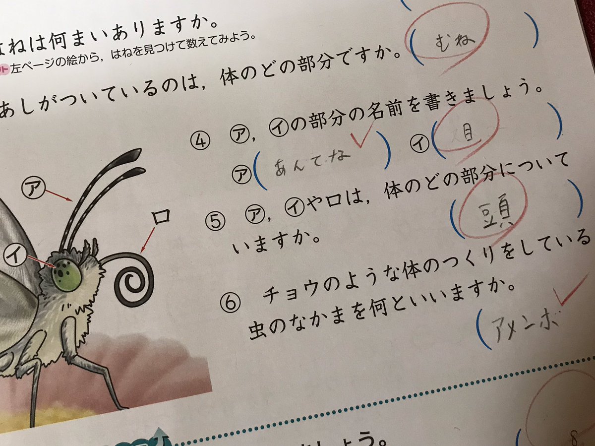 小3の長女が次女の宿題をよく見てくれてるんだけど、どうやら人に教えてる場合じゃなさそう 