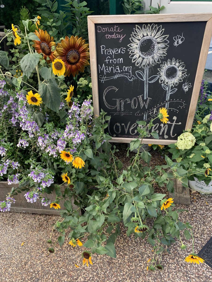 Make Change With Your Spare Change. Round Up Your Purchases at <a href="/petittis/">PetittiGardenCenters</a> and Help Fight Childhood Cancer.  #growthemovement