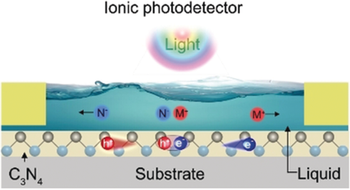 Photo-Driven Ion Transport for a Photodetector Based on an Asymmetric Carbon Nitride Nanotube Membrane (Antonietti) doi.wiley.com/10.1002/anie.2…