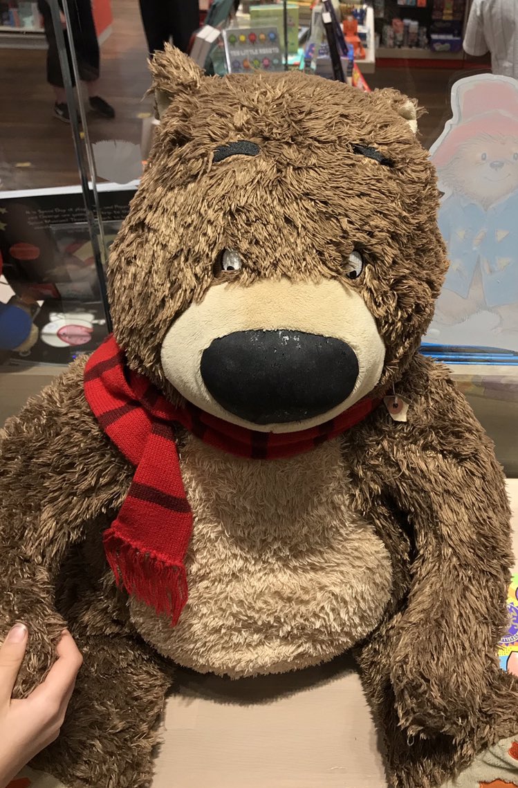 I love summer weekends. Warm air and book shopping. Today @Foyles 😊 Happily browsing (and buying!) and a hug for this lovely bear (who think is the Hugless Douglas picture book bear 🐻