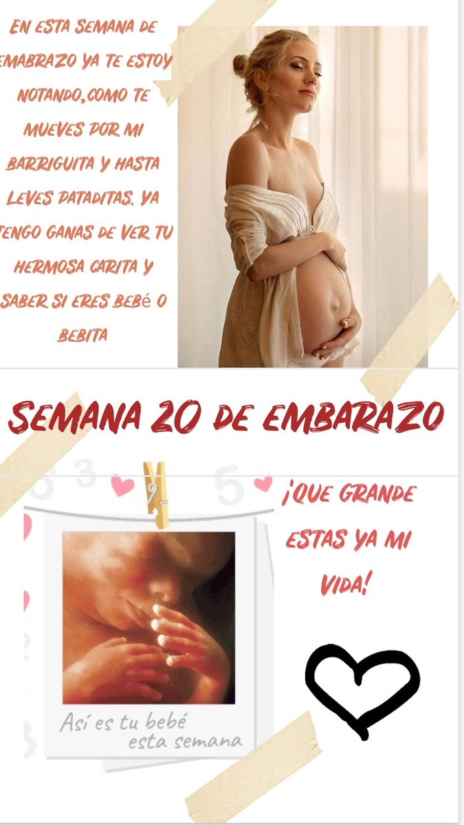 AmbarSmithfake's tweet photo. #Semana20DeEmbarazo.

♡ No puedo estar más contenta y feliz! Hoy hago 5 mesecitos de embarazo lo que quiere decir que voy a conocer el sexo de mi dulce y precioso bebé. Su papá y yo estamos muy contentos con nuestro primer bebé y estamos deseando ver su carita 😍 https://t.co/cOpxGPFet2