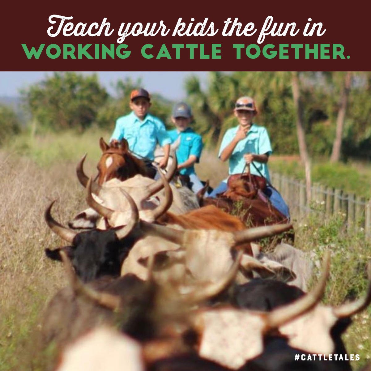 Cattle Tales (@cattletales) on Twitter photo Weekends are for family, fun, faith and working cattle together.
It's #FamilyFunMonth, who else thinks this is one of the best family activities?!?
#HumansOfCattleTales Weekends are for family, fun, faith and working cattle together.
It's #FamilyFunMonth, who else thinks this is one of the best family activities?!?
#HumansOfCattleTales