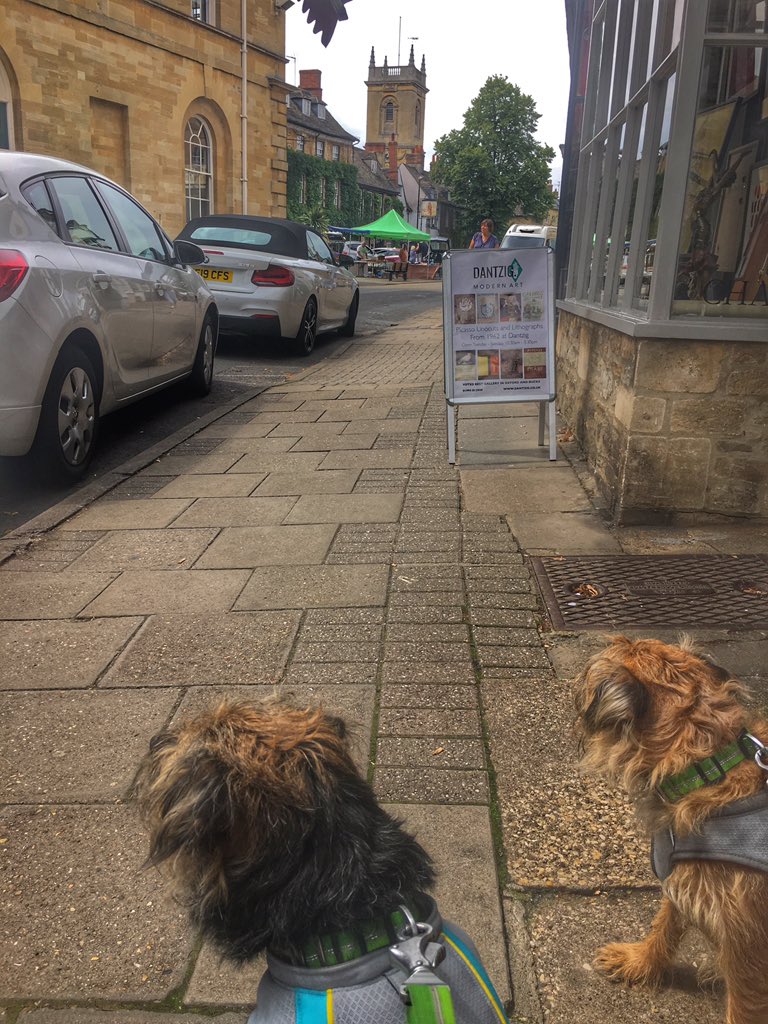 ScrappyN's tweet image. We @DuncanPickles have taken a mooch away from @Countryfilelive #CountryfileLive through the grounds of @BlenheimPalace #blenheimpalace and into Woodstock for refreshments. 

Still warm pals so we are in our trusty @RuffwearUK #swampcooler to keep nice and cool #ruffweardogs