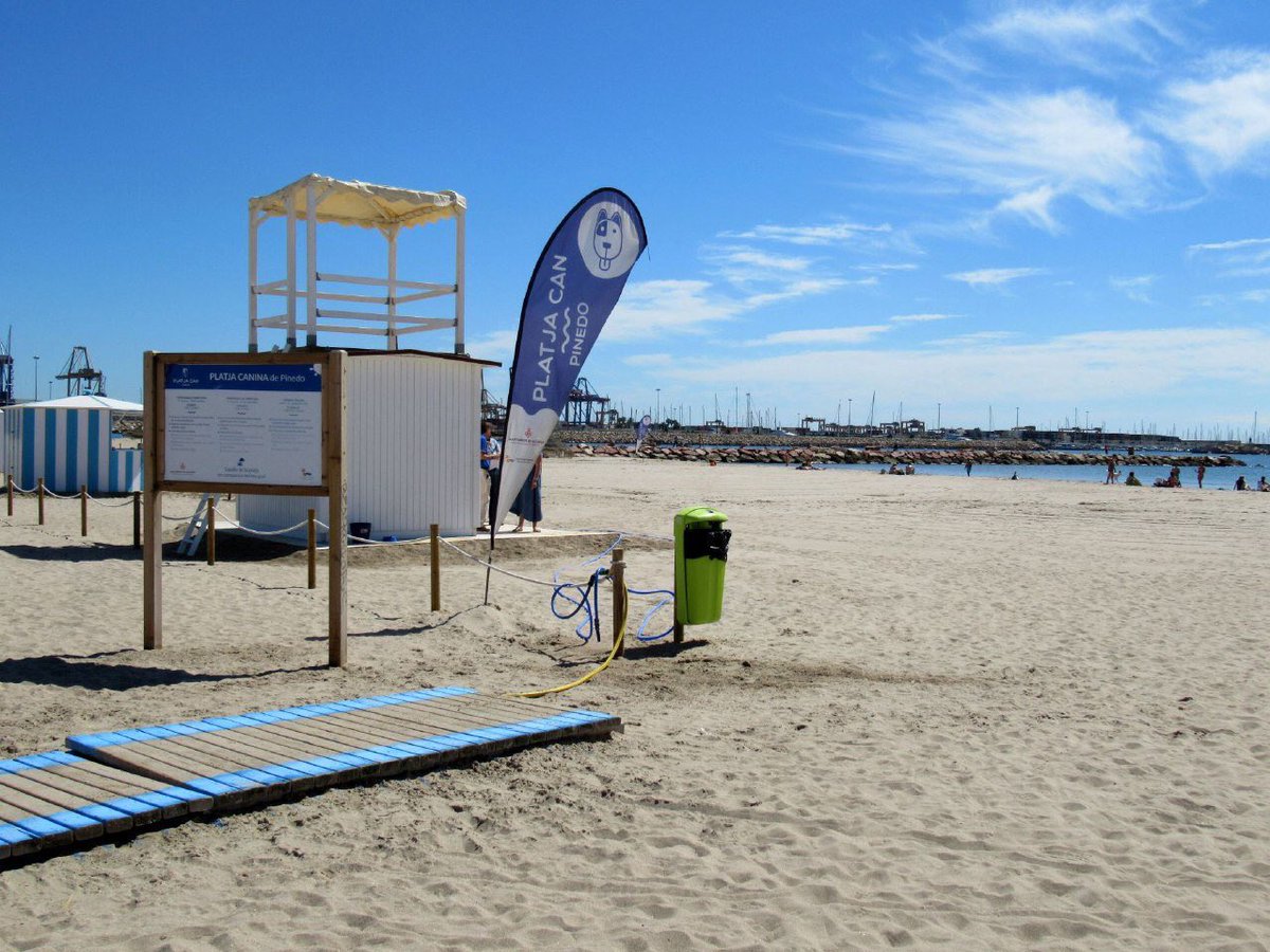 AjuntamentVLC's tweet photo. 🐶 La platja can de #Pinedo compta enguany, com a novetat, amb abalisament en el mar 🌊, una cordada de boies que delimita l’espai on els gossos poden banyar-se 🐩. Vine amb la teua mascota!
🗓 Fins al 30 de setembre
🔗 https://t.co/l6R0RqMHGT https://t.co/lJLcuTa2f0