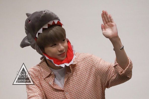 semosemo961210's tweet photo. 상암 팬싸 프리뷰 190803

#강다니엘 #KangDaniel https://t.co/YcrZen9VdE