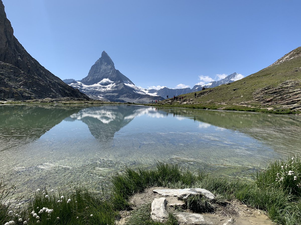 Svetlana Ognjanovic (@ognjanova) on Twitter photo 