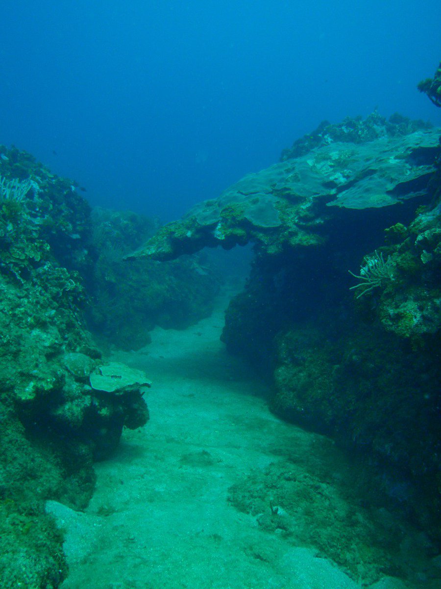 SCUBAPANAMA's tweet photo. El único lugar donde no encuentras tráfico!👌🏼
#weekendvibes😎.
.
.
#buzosdelitsmo #padidivers #fundive #funcourse #scubapanama_scubaportobelo #padicommunity #underwaterfreeway https://t.co/aZlB3V7khF