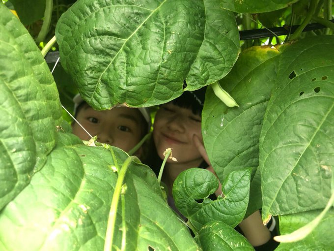 Twitterのコスプレ画像5