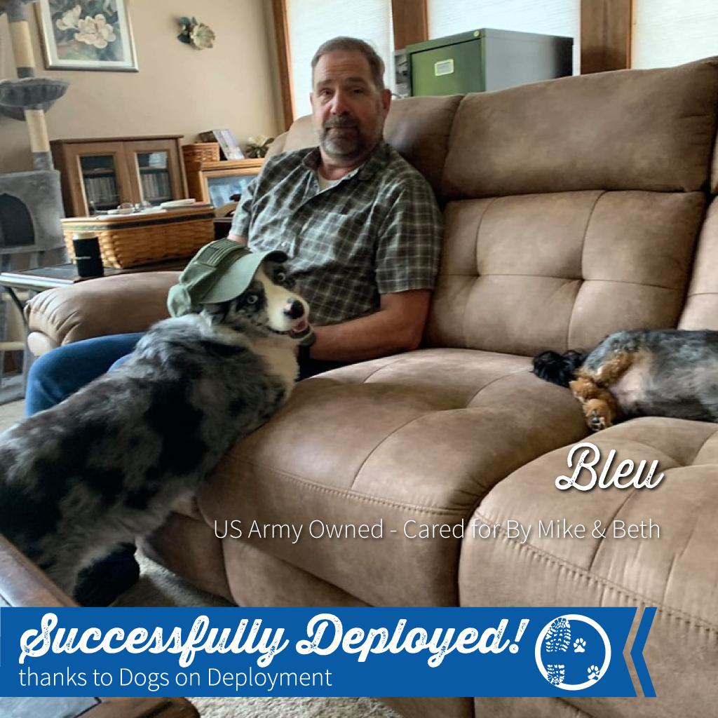 DogsonDeploymnt's tweet photo. YESSSSS! We love getting word that our military pets have found loving homes with #DoDBoarders! Here is Bleu, owned by a #USArmy #Soldier who has gone to #bootcamp and needed a temporary home for her #australianshepherd. That's where Beth and Matt came in to save the day! https://t.co/HBF9sqkKg6