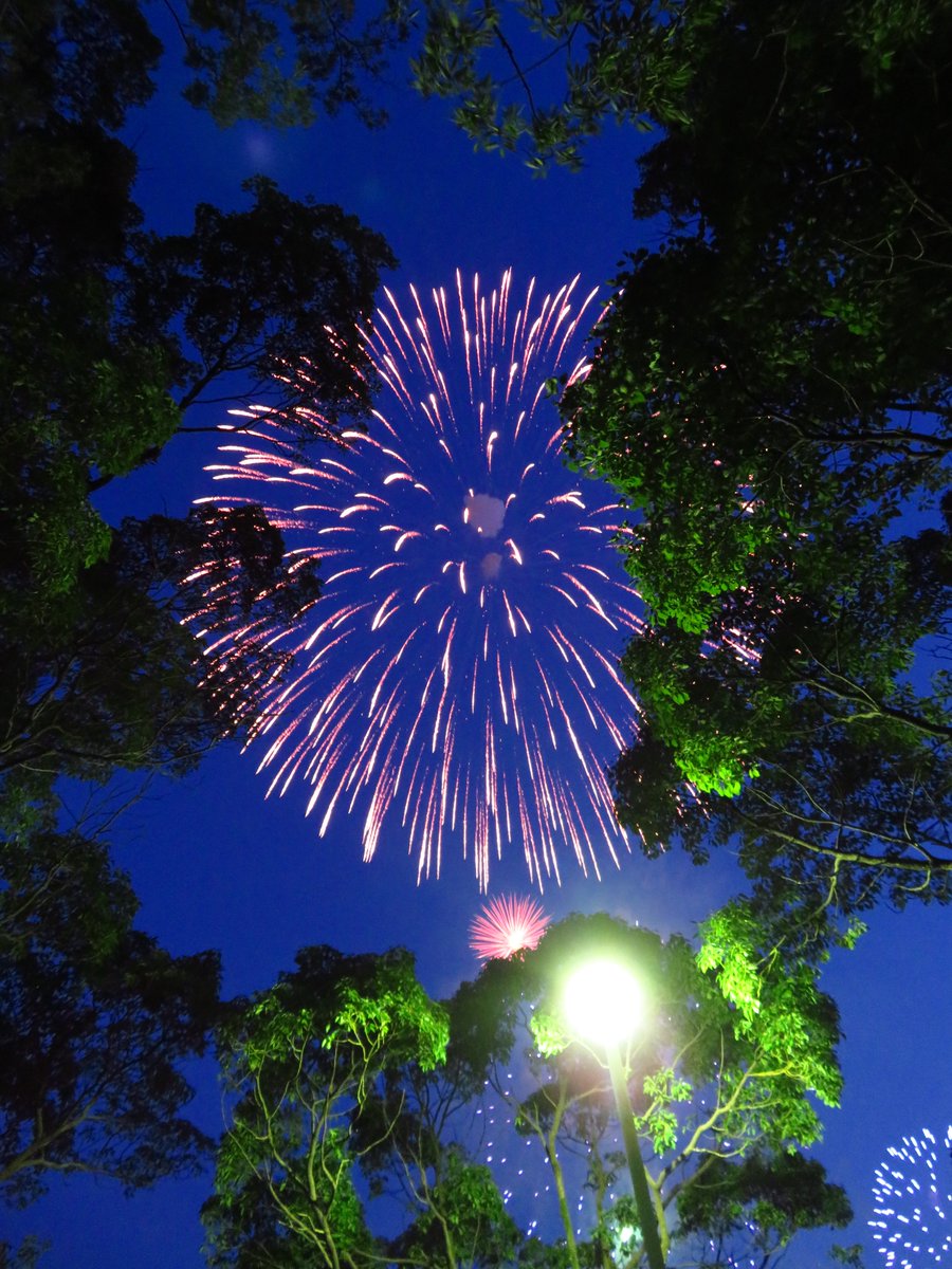 街灯と樹木があったおかげでなんだか良く撮れた気がする手賀沼の花火。