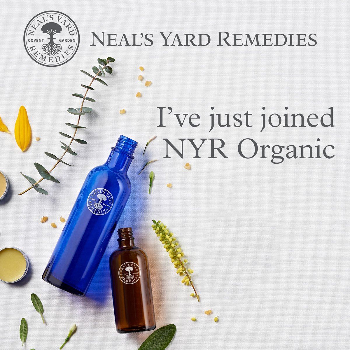 julieline58's tweet photo. It would be lovely if you'd follow my new @NYRO_JGriffin and have a peak at my website https://t.co/lkKo5qygCd https://t.co/MQ9iG9sZ3y