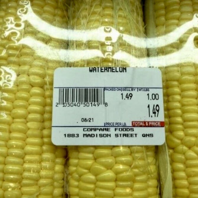 AngelBlabber's tweet image. I’m going to eat some watermelon 

 #WhatIPlanToDoToday